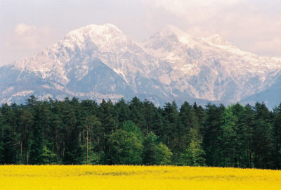 07_SorskoPolje-KocnaGrintovec1